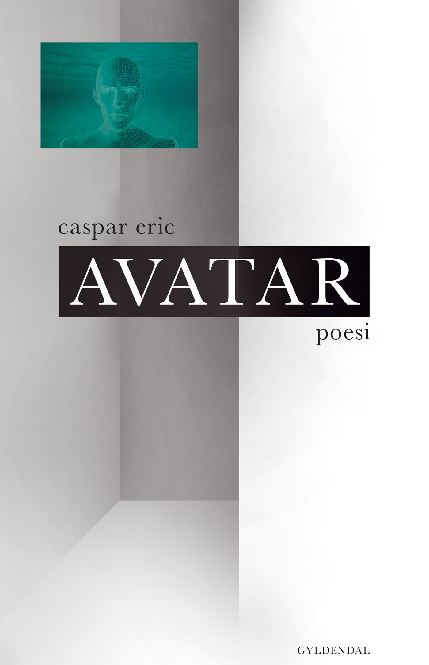 Bogforside: Avatar (2017)